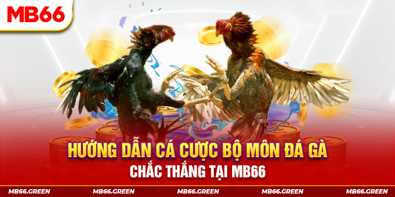 nohu56 CQ9 Điện Tử