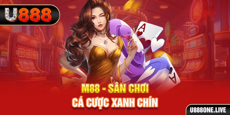 nohu56 gà chọi cậu thanh