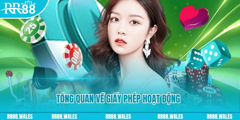 nohu56 game đánh bài trên máy tính