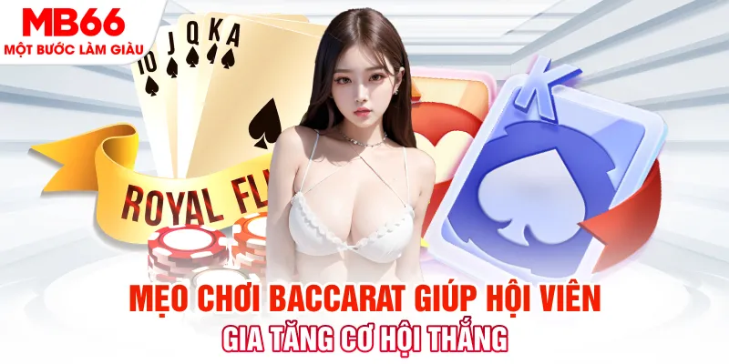 nohu56 đá gà 88