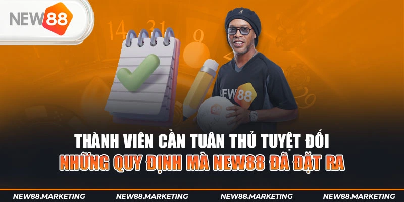 nohu56 trực tiếp đá gà c1
