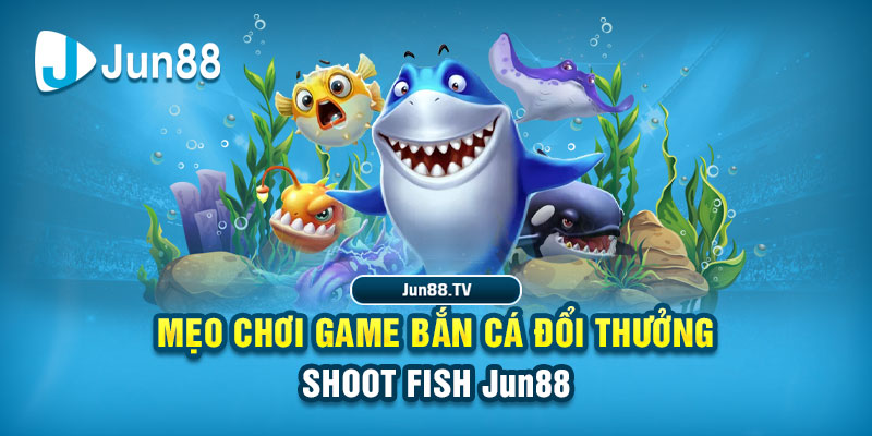 nohu56 tai game danh bai bigkool ve may tinh