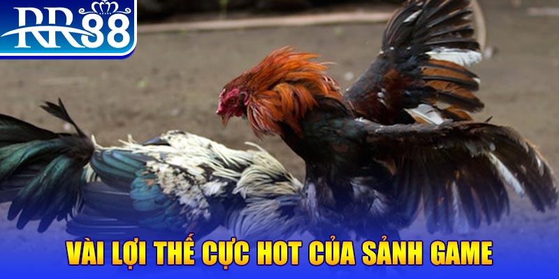 nohu56 nổ hủ là trò gì