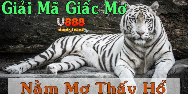 nohu56 xổ số kiến thiết miền bắc