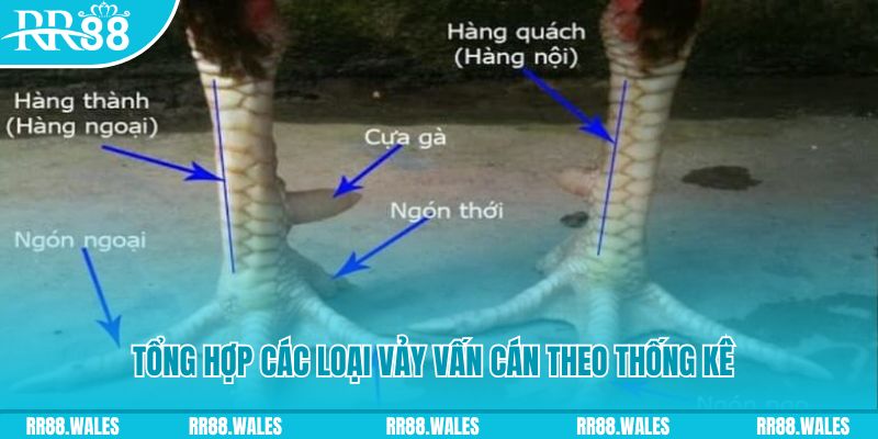 nohu56 nổ hũ chơi như thế nào