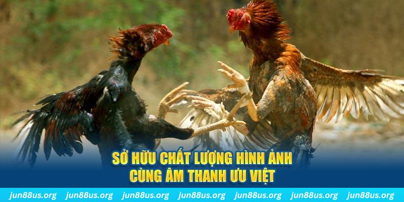 nohu56 tai game danh bai ve may tinh