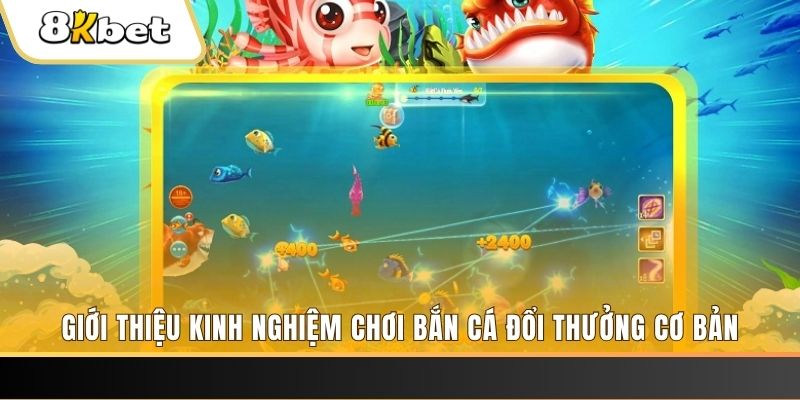 nohu56 8 bí ẩn chơi nổ hũ ít ai biết