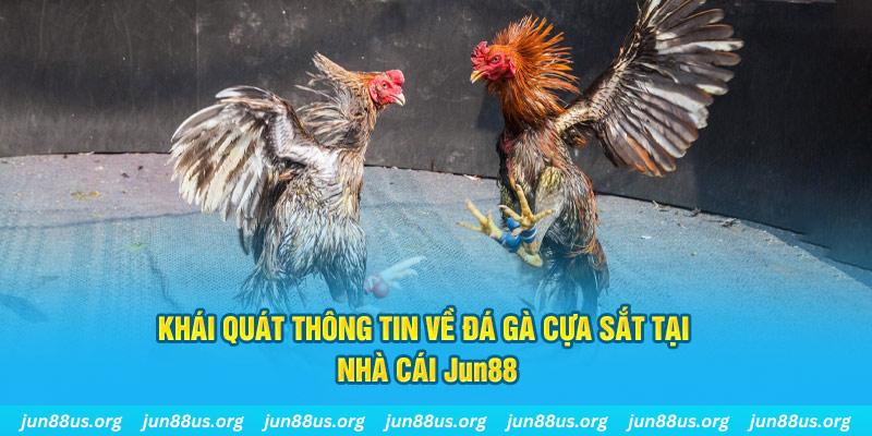 nohu56 game bài trên máy tính