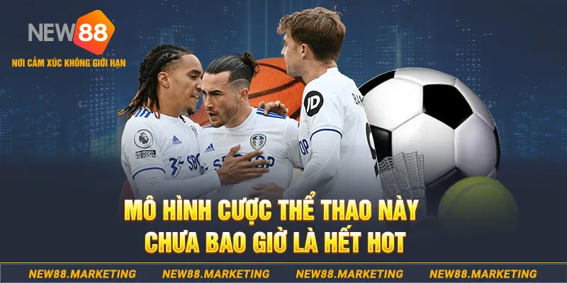 nohu56 gà chọi c1 thomo