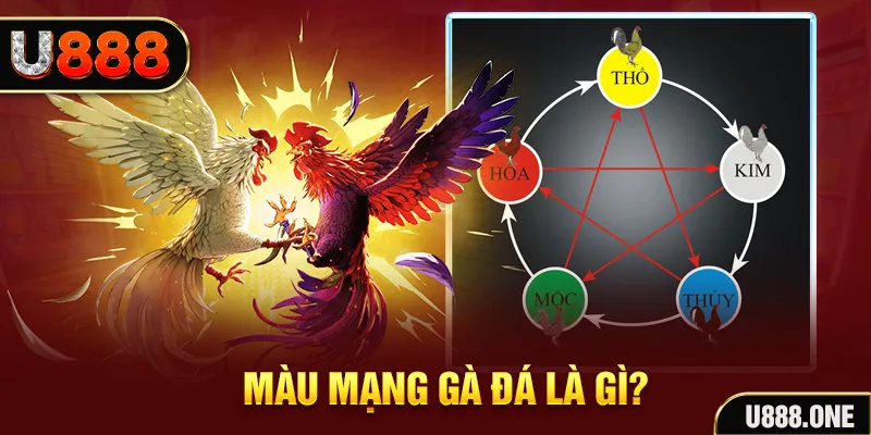 nohu56 so xo