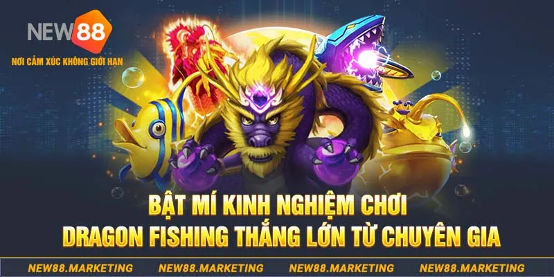 nohu56 who wants to be a millionaire slot