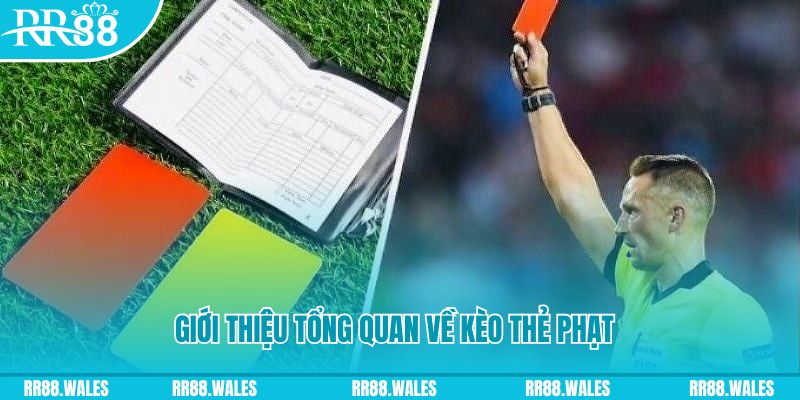 nohu56 sổ xô miên bắc
